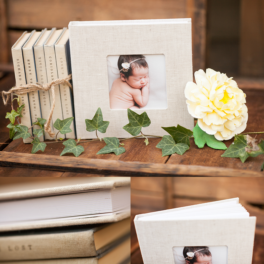 02 gorgeous newborn heirloom album